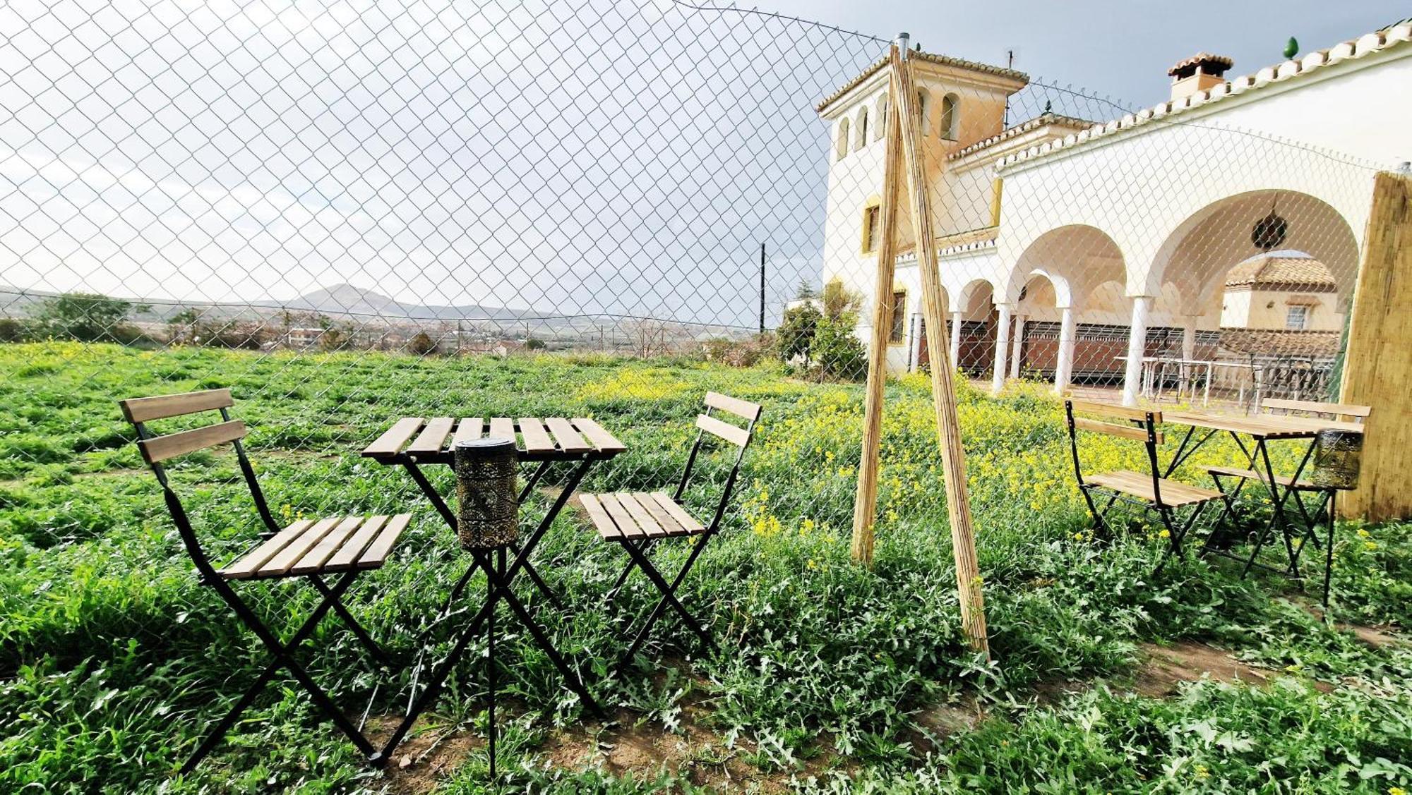 Aa Guest - Mulhacen Del Jardin Sierra Nevada Διαμέρισμα Alhendín Εξωτερικό φωτογραφία